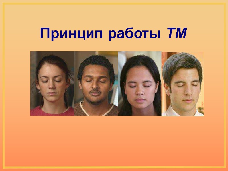 Принцип работы ТМ Принцип работы ТМ